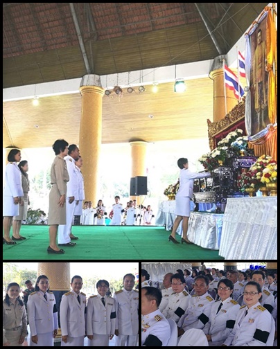 Mol-Thailand