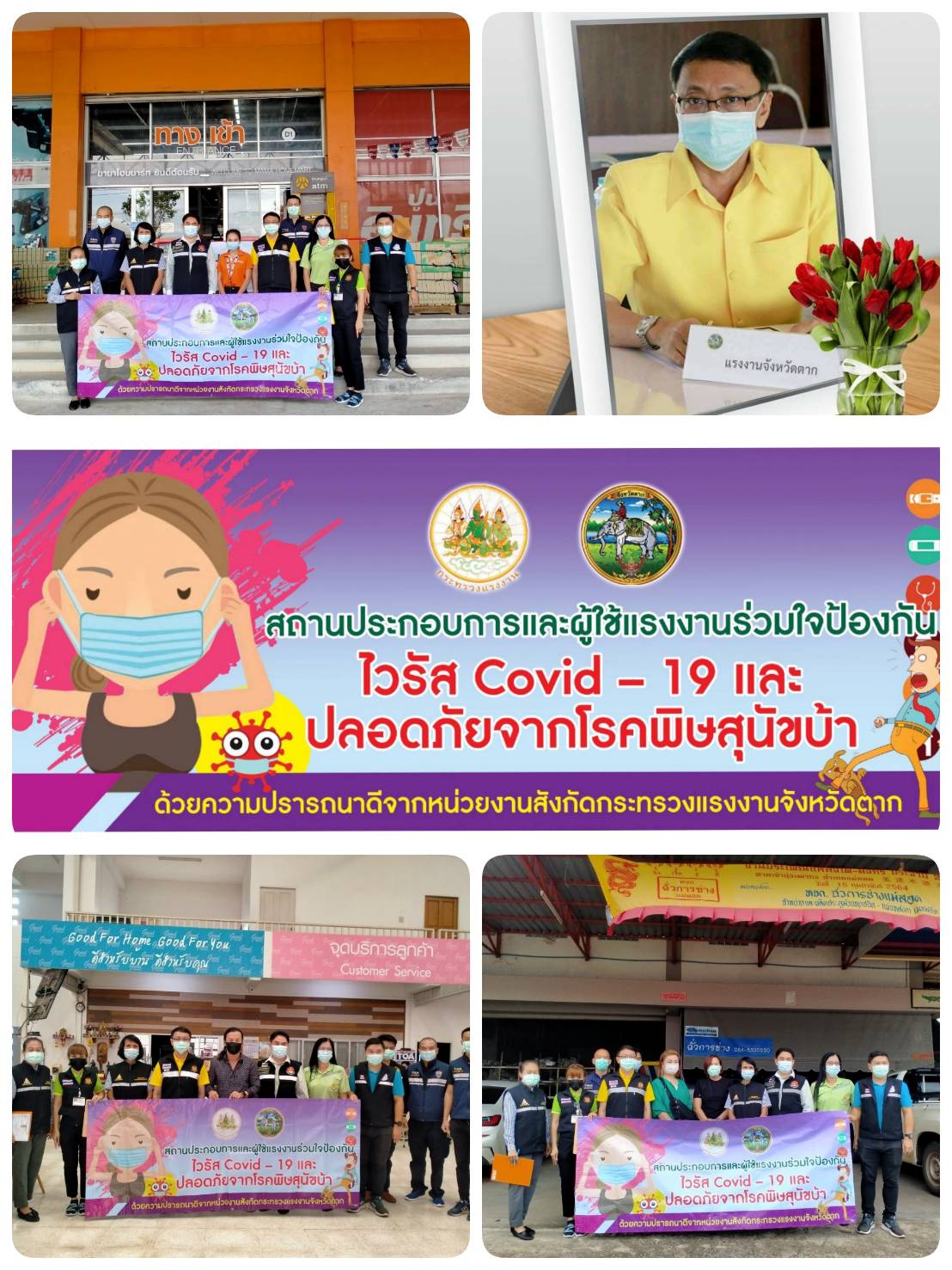 Mol-Thailand